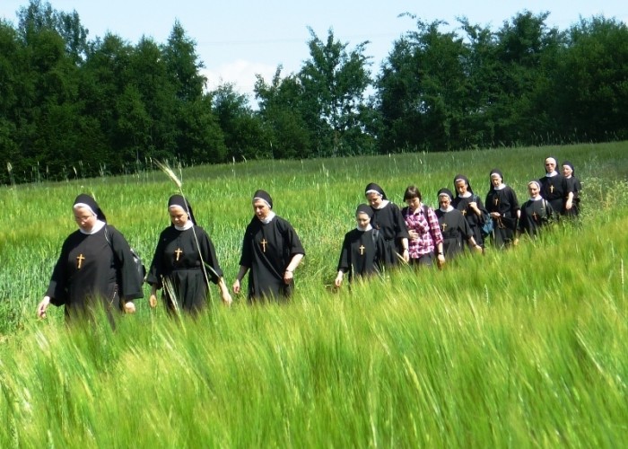 800x600mAUTOcWHITE (2)